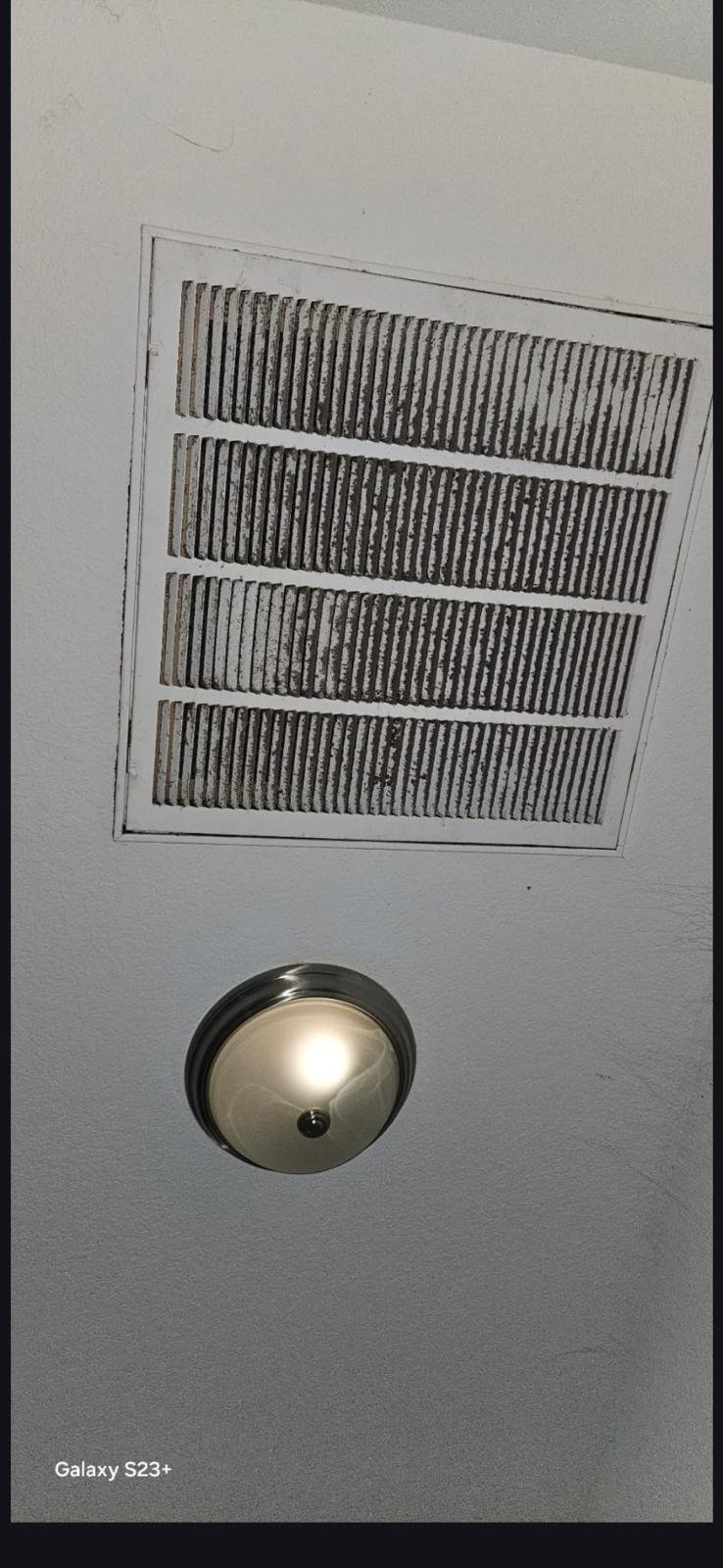 Attic mold on insulation board