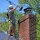 Chimney-Cleaning-Reno-Nevada